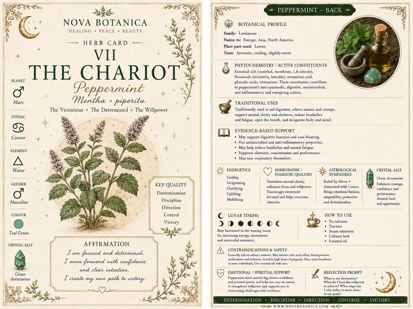 The Chariot Peppermint front and back Nova Botanica card reading