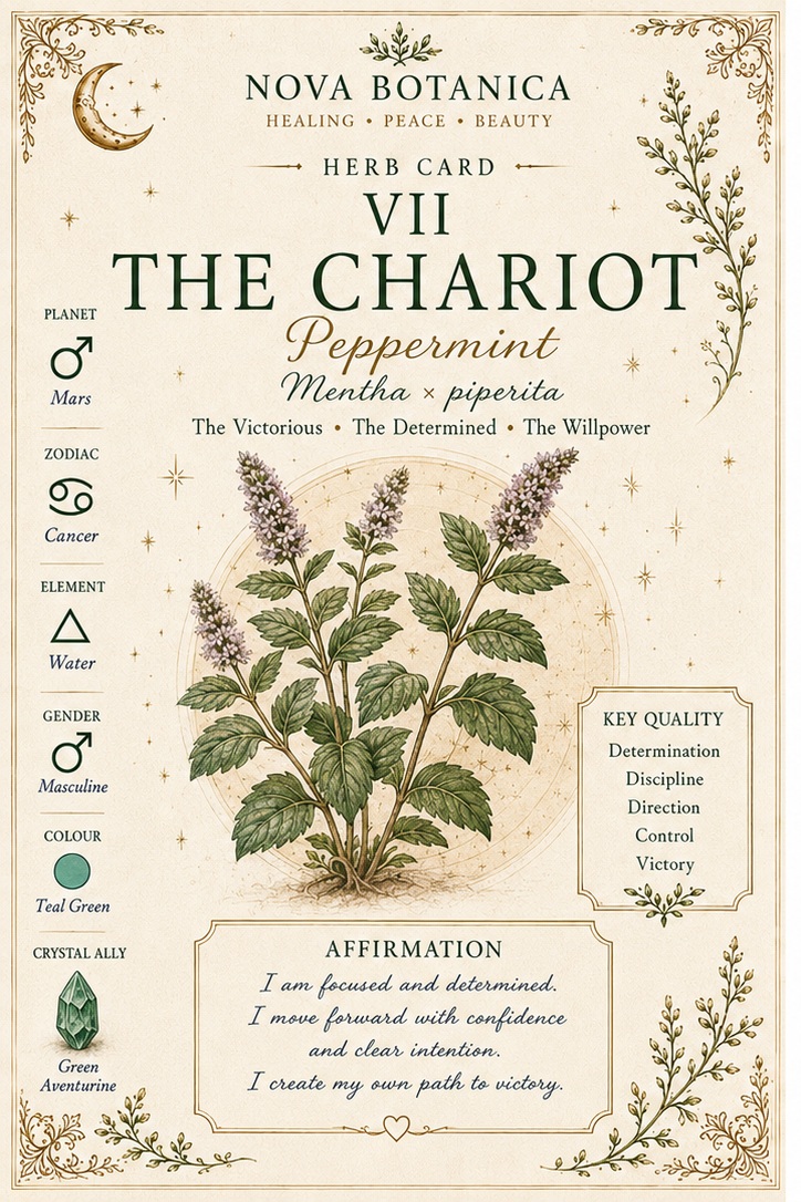 The Chariot Peppermint Nova Botanica tarot card