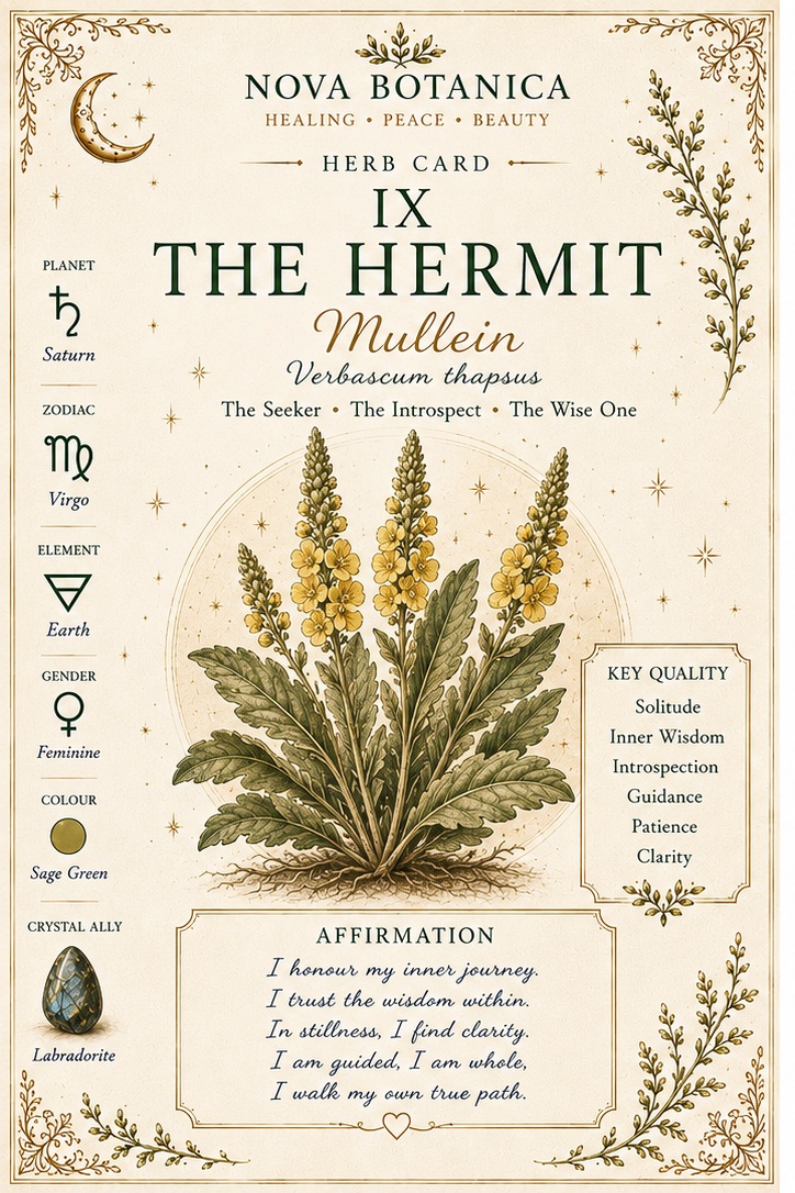 The Hermit Mullein Nova Botanica tarot card