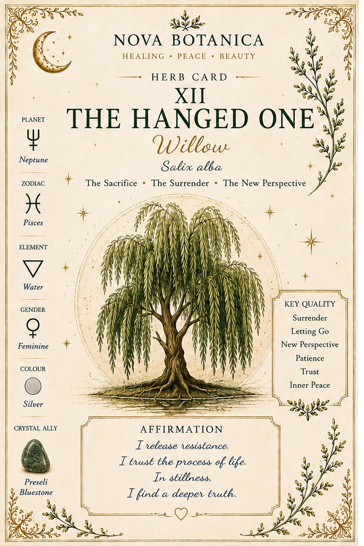 The Hanged One Willow Nova Botanica tarot card