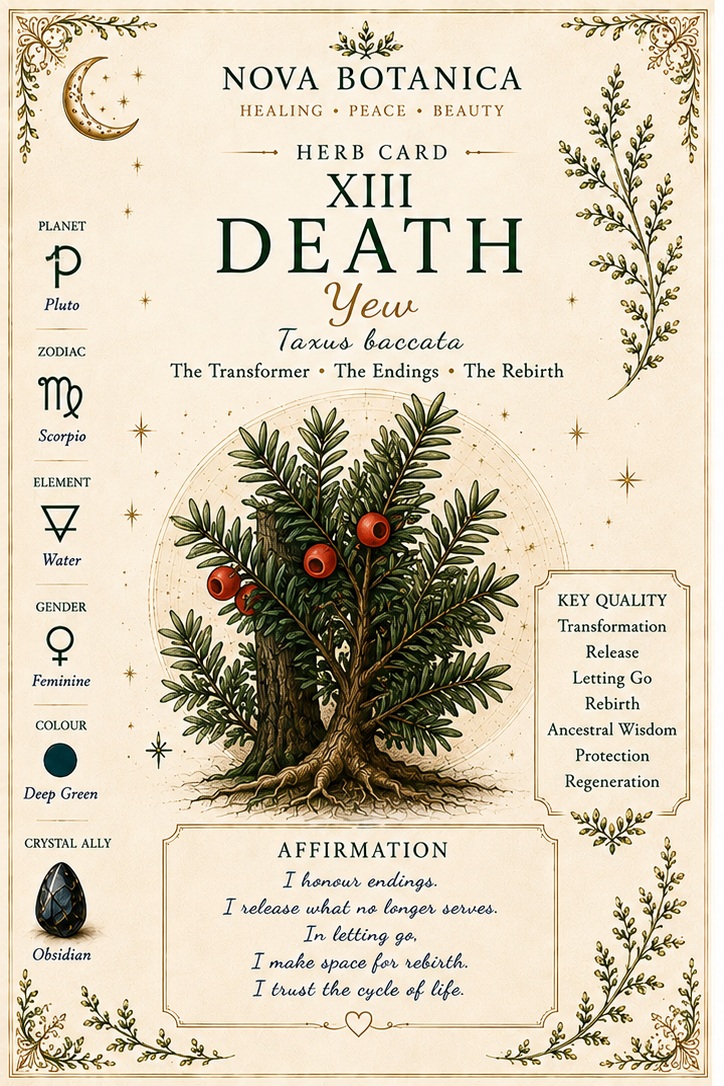 Death Yew Nova Botanica tarot card