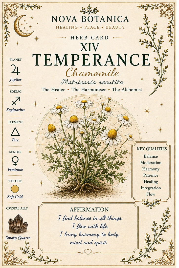 Temperance Chamomile Nova Botanica tarot card